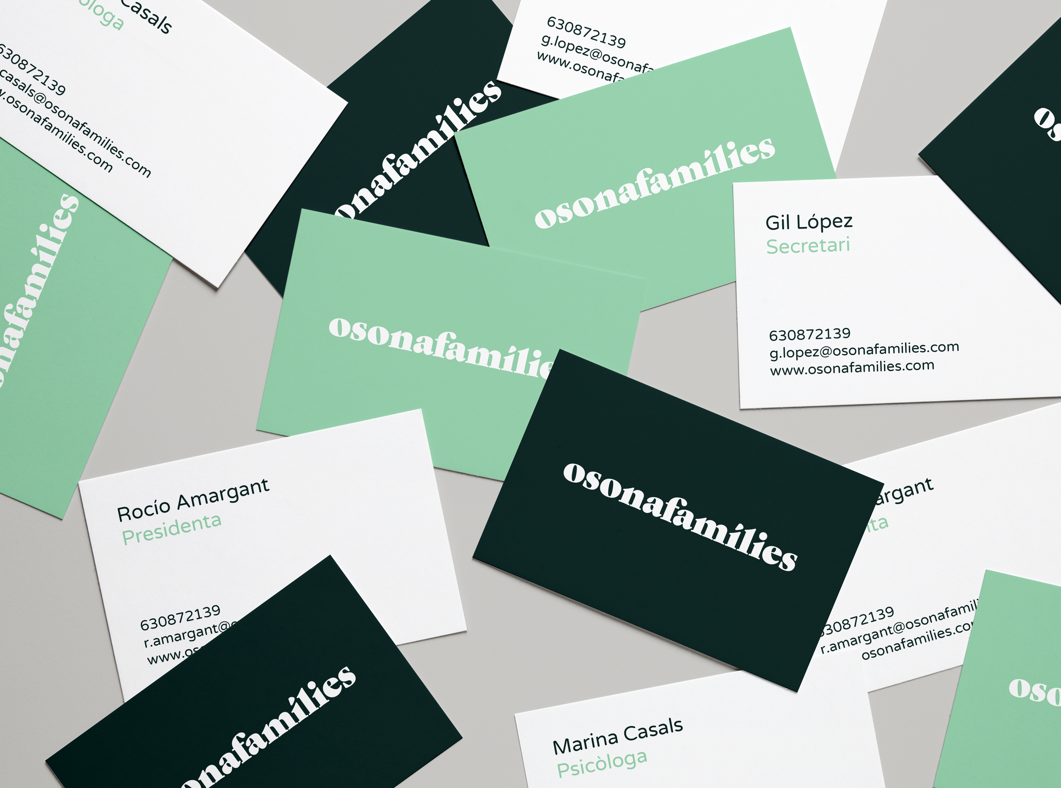 Caratula projecte de disseny Osona famílies.