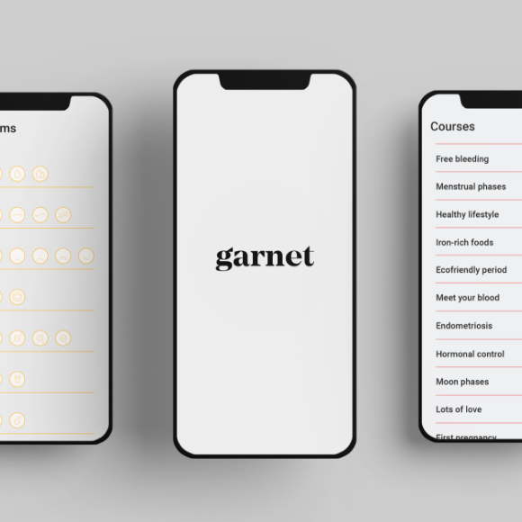 Caratula projecte de disseny Garnet.